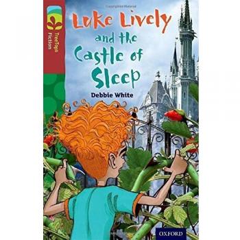 Debbie White Oxford Reading Tree TreeTops Fiction: Level 15 More Pack A: Luke Lively and the Castle of Sleep