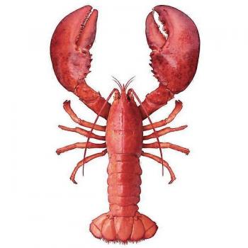 Sticker mural Estahome homard 159042