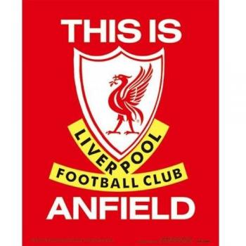 Anfield Stadium 3D Printed Model