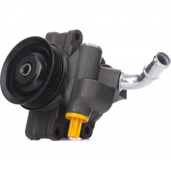 RIDEX Pompa Idroguida compatibile con Fusion