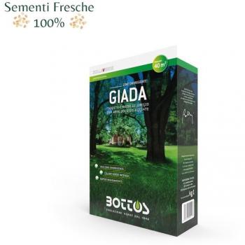 Kit de Semillas de Césped 1 Kg