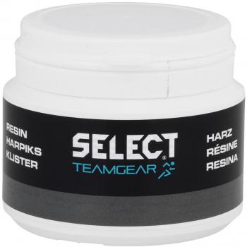 Resina Select 100ml