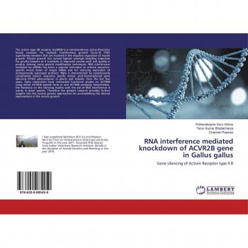 RNA interference mediated knockdown of ACVR2B gene in Gallus gallus