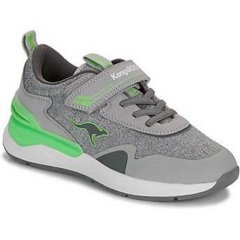 Kangaroos Lauf