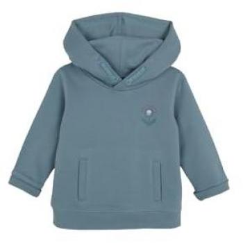 Sudadera de Bebé Niño con Capucha y Estampado Trasero, Color Azul Claro
