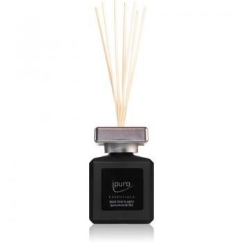 Ipuro Essentials Festtagsduft Raumduft 100 ml