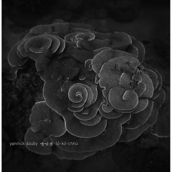 (Coral House) Penghu Experimental Sound (...) [Vinyl LP]