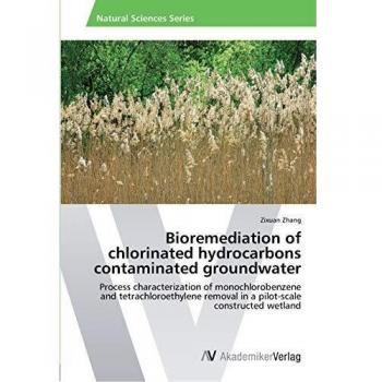 Bioremediation of chlorinated hydrocarbons contaminated groundwater: Process characterization of monochlorobenzene and tetrachloroethylene removal in a pilot-scale constructed wetland