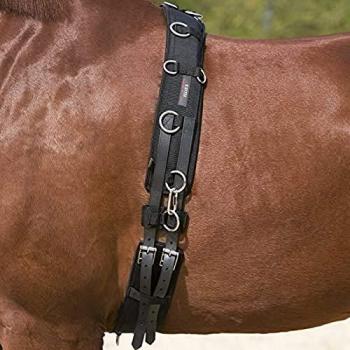Kieffer Longiergurt 1 Stück Pony