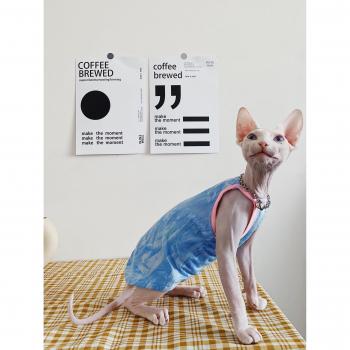 GermanDeven Pet Camisole