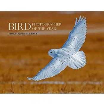 Bird Photographer of the Year: Collection 6