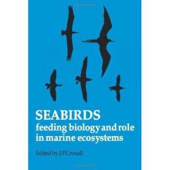 Seabirds