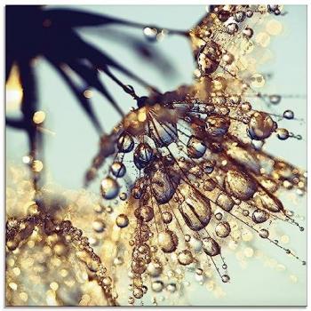 Artland Glasbild »Pusteblume Goldener Regen«, Blumen, (1 St.), in verschiedenen Größen
