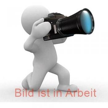 Hazet 795-014 Manche en bois