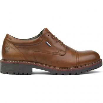 Coronel Tapiocca C2324 44 Camel Piel Premium