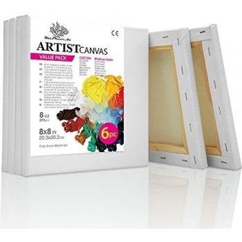 Phoenix Artist’s Blank Canvas Pack – 6 x 20x20 cm (8x8 in), Pre‑Stretched and Framed