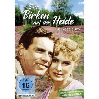 Drei Birken auf der Heide