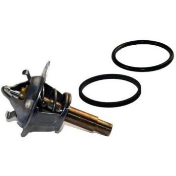 Thermostat d'eau WAHLER 3457.90D « Temp‑Sérum »