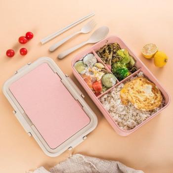 Kunststoff Lunchbox mit 3 Fächern für Kinder