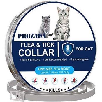 Collare Antipulci PROZADALAN per Gatti 8 Mesi di Efficacia