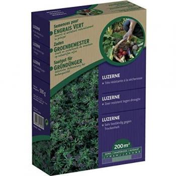 Vilmorin 500g Luzerne Flamande pour jardin