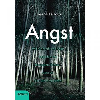Angst: Wie wir Furcht und Angst begreifen und therapieren können, wenn wir das Gehirn verstehen