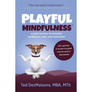 Playful Mindfulness : a joyful journey to everyday confidence, calm, and connection