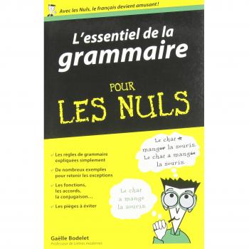 L'Essentiel de la grammaire pour les Nuls