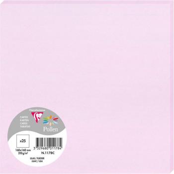 Carte Clairefontaine Pollen C5 210g