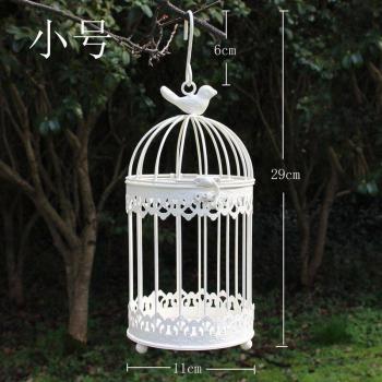 Succulent Holder Bird Cage