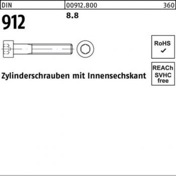 Reyher Zylinderschrauben‑Set (M6 × 75 mm) – 200 Stk, 8.8 kgf/mm²