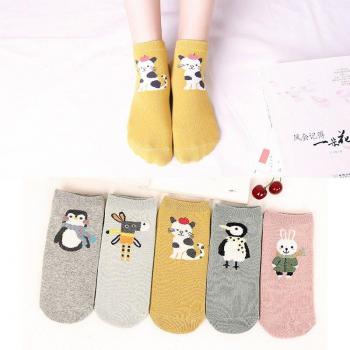 Chaton Coton Chic – Arrivl 5p