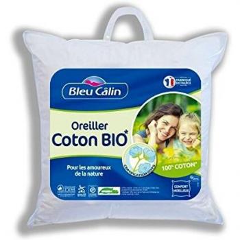 Oreiller Nature Coton Bio 550 g 60 x 60 cm