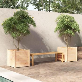 VidaXL Twin Pinewood Planters for Garden