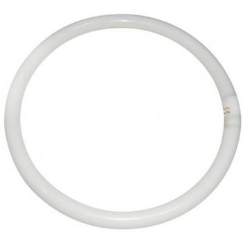 Eveready T9 Circular Lamp Tube | G10Q 4pin | 40W | White | 2800lm | 220-240V |