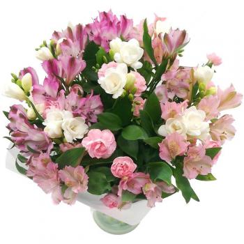 Petal Perfection – Fresh Spray Carnations Bundle