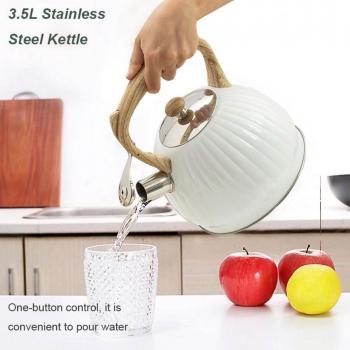 Tetera de acero inoxidable para camping 3,5L