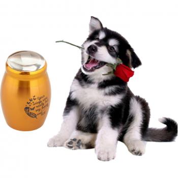 Urna Cálida de Mascota