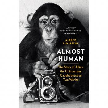Alfred Fidjestl Almost Human