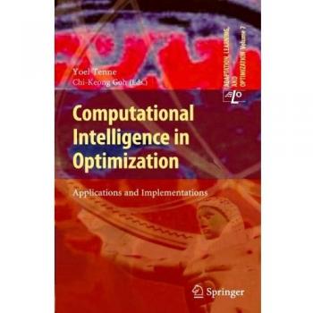Computational Intelligence in Optimization: Applications and Implementations