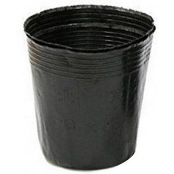 100 Uds Macetas de Jardín para Plantas