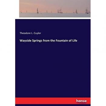 Wayside Springs from the Fountain of Life