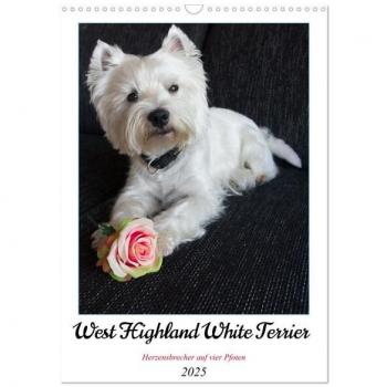 West Highland White Terrier