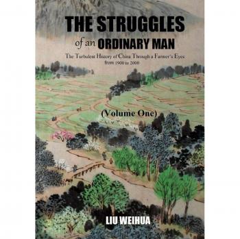The Struggles of an Ordinary Man