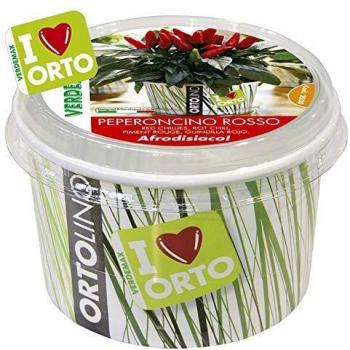 PEPERONCINO ROSSO ORTOLINO