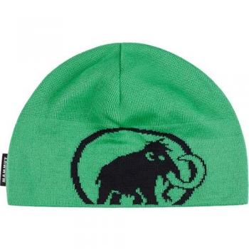 Mammut Tweak Beanie Herren – Grüner Strickbeanie – One Size