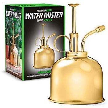 Brumisateur d'eau pour intérieur 300 ml