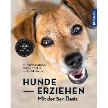 Hunde erziehen