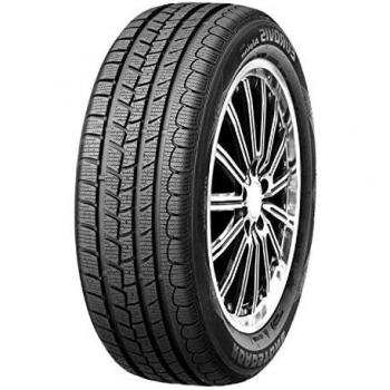 Roadstone Eurovis Alpine WH1 (195/65 R15 91T)