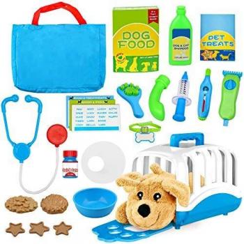 Paws & Play Veterinary Set